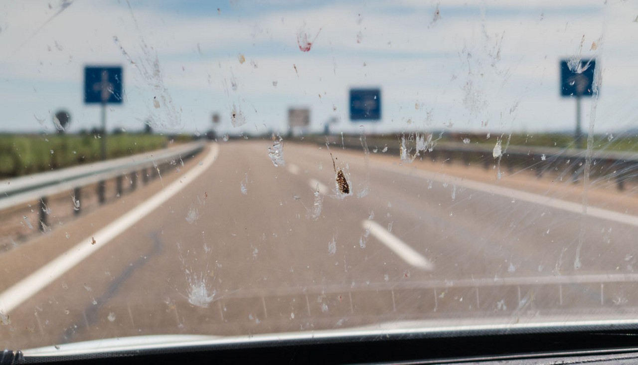 A close-up view of smashed bugs on a car windshield