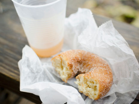 Kimmel Orchard Donut Festival -- Nebraska City